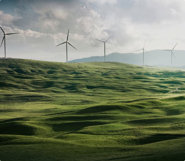 Apagón eléctrico del 28 de abril: impacto y respuesta de Walmeric