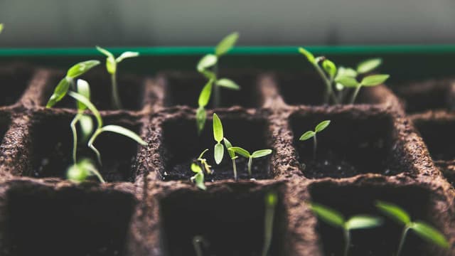 La Interacción con el Lead: La Clave del Lead Nurturing