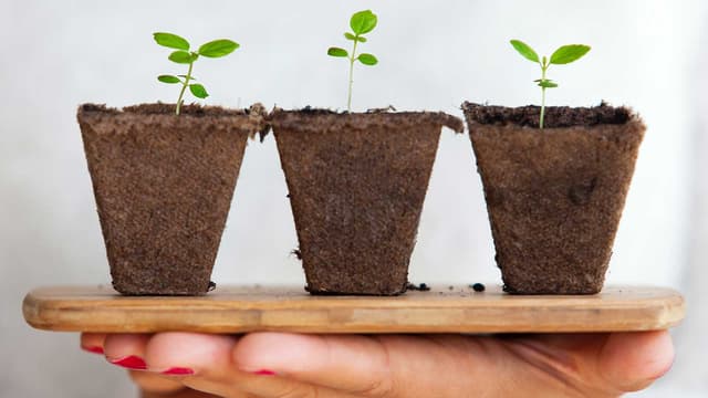 6 Tips para Comenzar una Estrategia de Lead Nurturing
