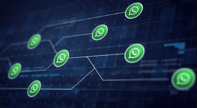 How to use WhatsApp Business to boost your sales